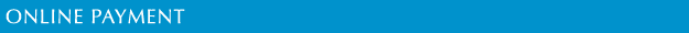 Online Payments